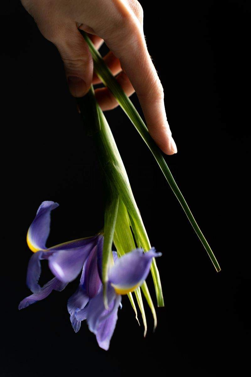 新年に始めるべき趣味トップ5