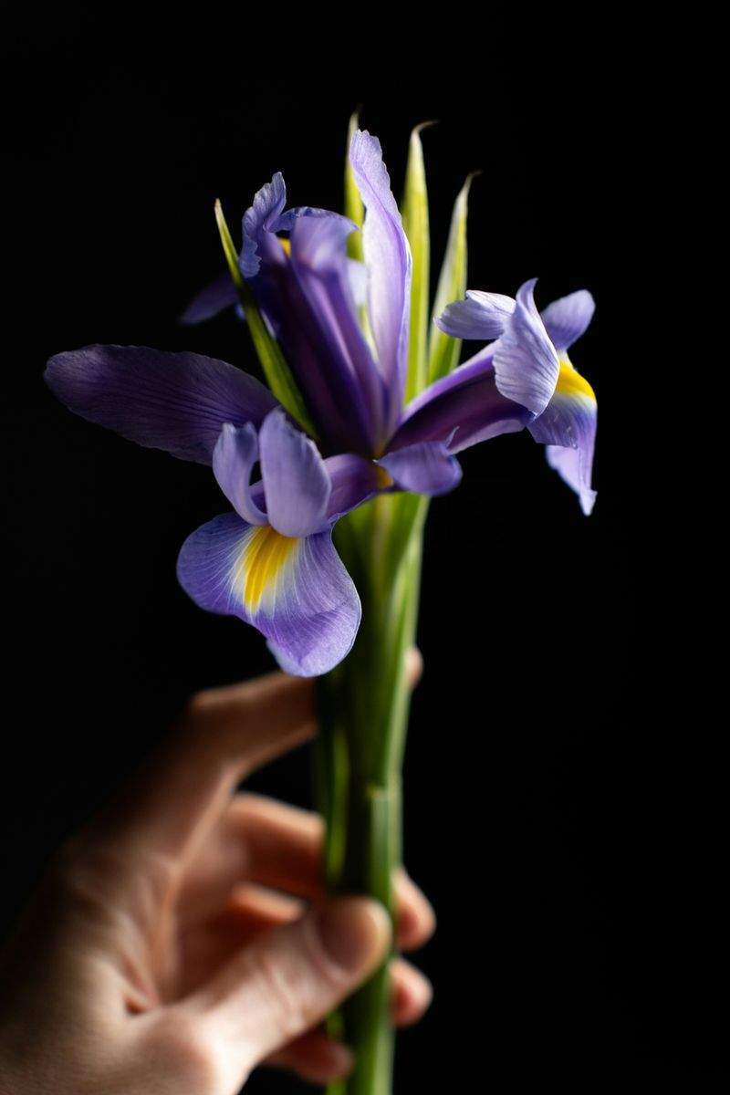 DIYで楽しむ手作りインテリア